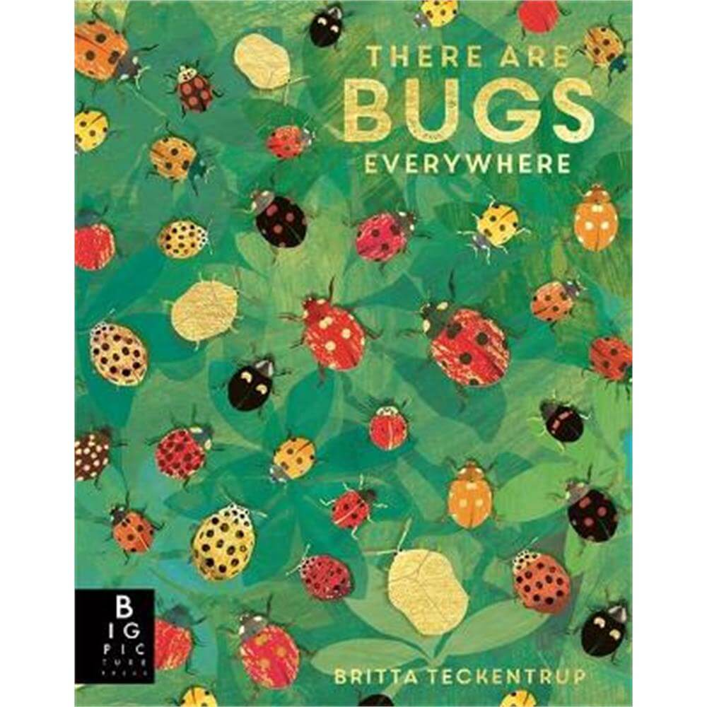 There are Bugs Everywhere (Paperback) - Britta Teckentrup